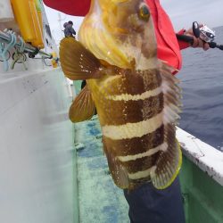 遊漁船 新鋭丸 釣果