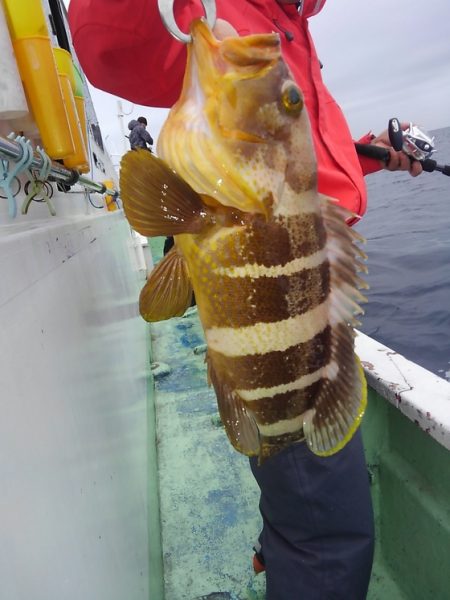 遊漁船 新鋭丸 釣果