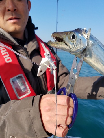 遊漁船 ニライカナイ 釣果