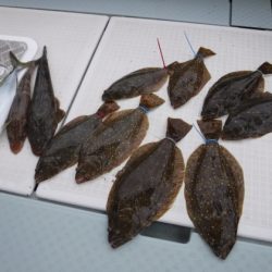 遊漁船 幸友丸 釣果