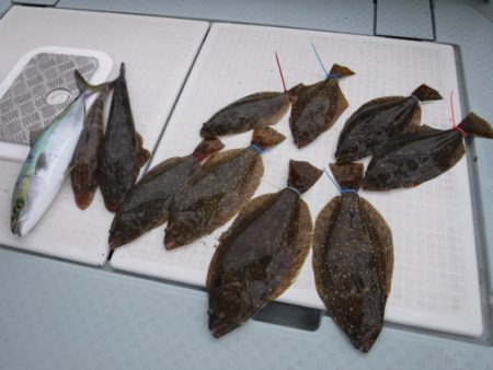 遊漁船 幸友丸 釣果