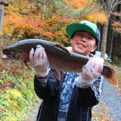 小菅トラウトガーデン 釣果