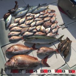 ふじしめ丸 釣果