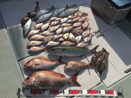 ふじしめ丸 釣果