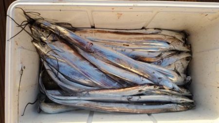 暁〜akatsuki〜 釣果