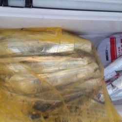 暁〜akatsuki〜 釣果