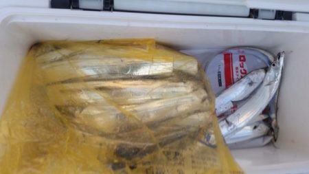 暁〜akatsuki〜 釣果