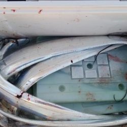 暁〜akatsuki〜 釣果