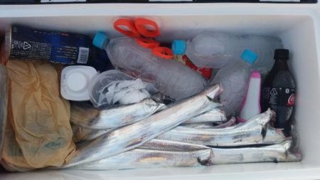 暁〜akatsuki〜 釣果