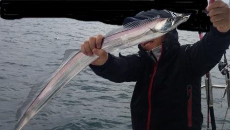 暁〜akatsuki〜 釣果