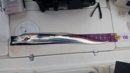 暁〜akatsuki〜 釣果