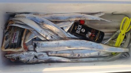 暁〜akatsuki〜 釣果