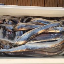 暁〜akatsuki〜 釣果