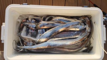 暁〜akatsuki〜 釣果