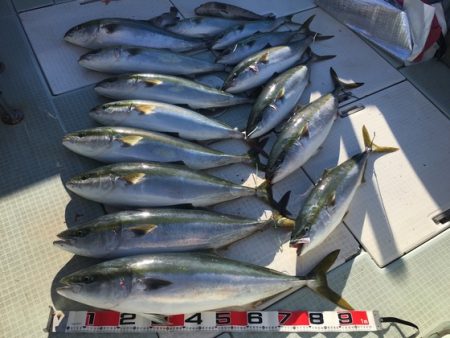 ふじしめ丸 釣果