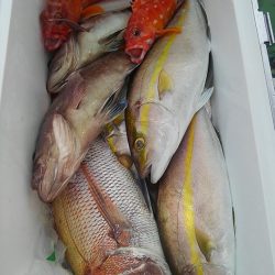 遊漁船 新鋭丸 釣果