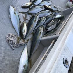 寿裕 （YOSHIHIRO） 釣果