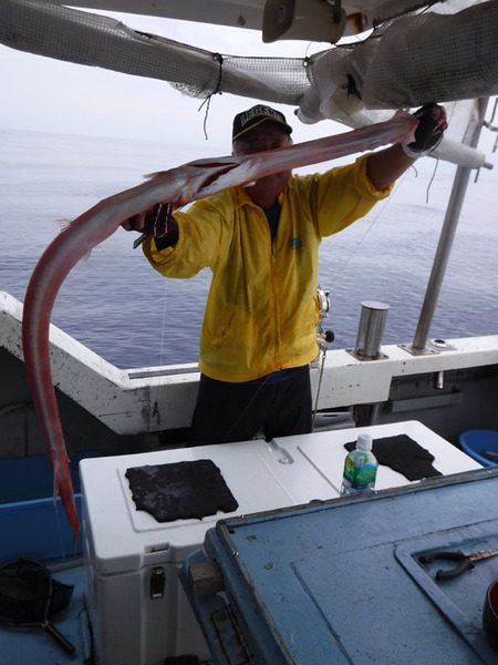 オーシャンパイオニア 釣果