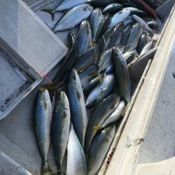 寿裕 （YOSHIHIRO） 釣果