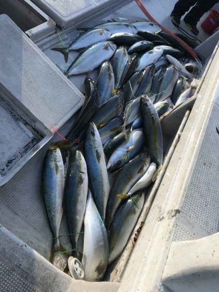 寿裕 （YOSHIHIRO） 釣果