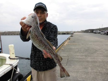 大進丸（新潟） 釣果