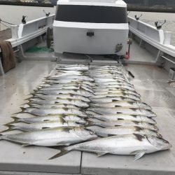 寿裕 （YOSHIHIRO） 釣果