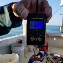 遊漁船 ニライカナイ 釣果