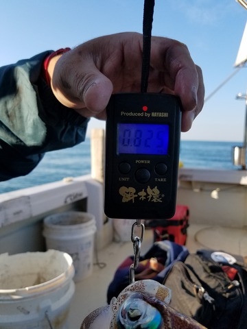 遊漁船 ニライカナイ 釣果