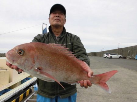 大進丸（新潟） 釣果