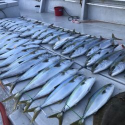 寿裕 （YOSHIHIRO） 釣果