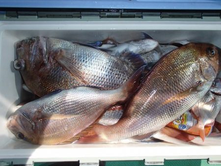 第二むつ漁丸 釣果