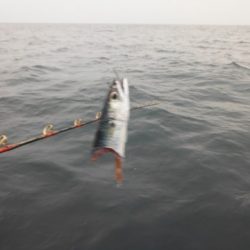 開進丸 釣果