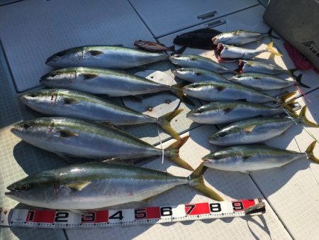 ふじしめ丸 釣果