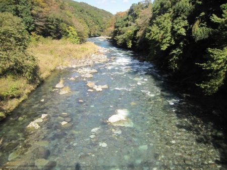 狩野川(狩野川漁業協同組合) 釣果