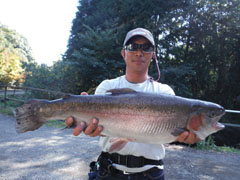 すそのフィッシングパーク 釣果
