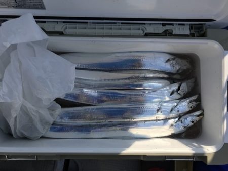 遊漁船高橋 釣果