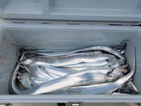 遊漁船　ニライカナイ 釣果