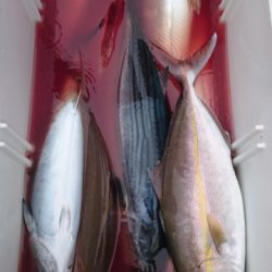 海晴丸 釣果
