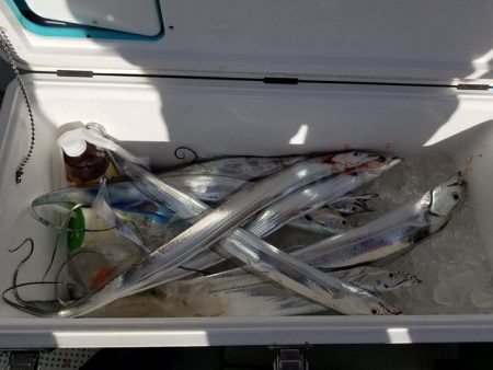 遊漁船　ニライカナイ 釣果