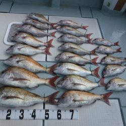 遊漁船 幸友丸 釣果