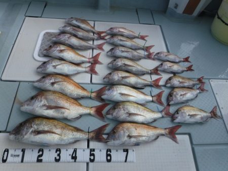 遊漁船 幸友丸 釣果