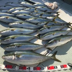 ふじしめ丸 釣果