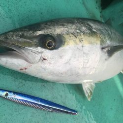 広進丸 釣果