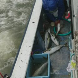 釣り船武蔵 釣果