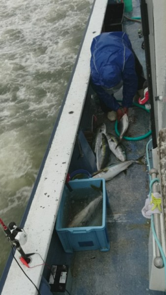 釣り船武蔵 釣果