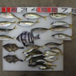 のとじま臨海公園海づりセンター 釣果