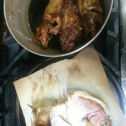 リトルワン 釣果