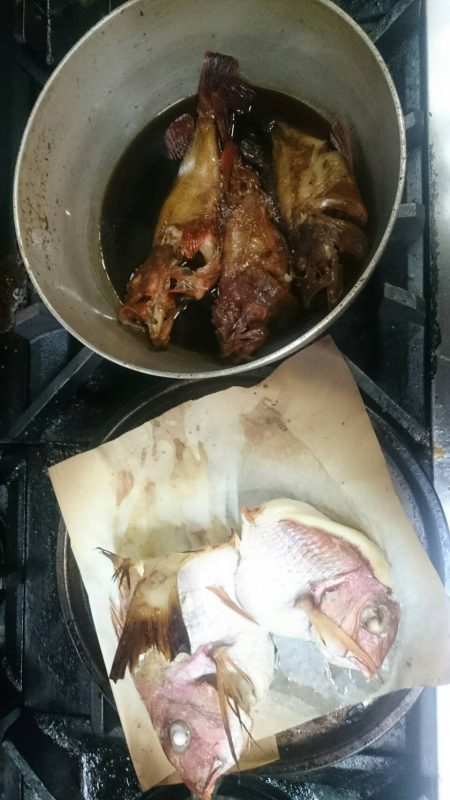 リトルワン 釣果