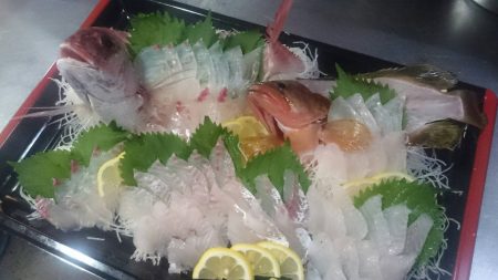 リトルワン 釣果