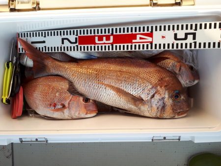 釣り船くわだ 釣果